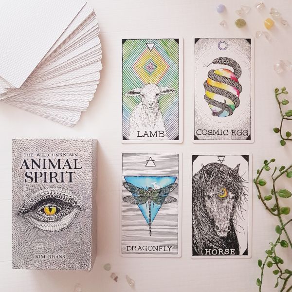 The Wild Unkown Animal Spirit